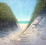 Aramoana Path to the Beach by Justin Summerton