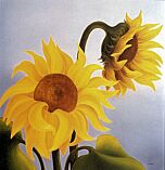Sunflowers by Ruby Huston